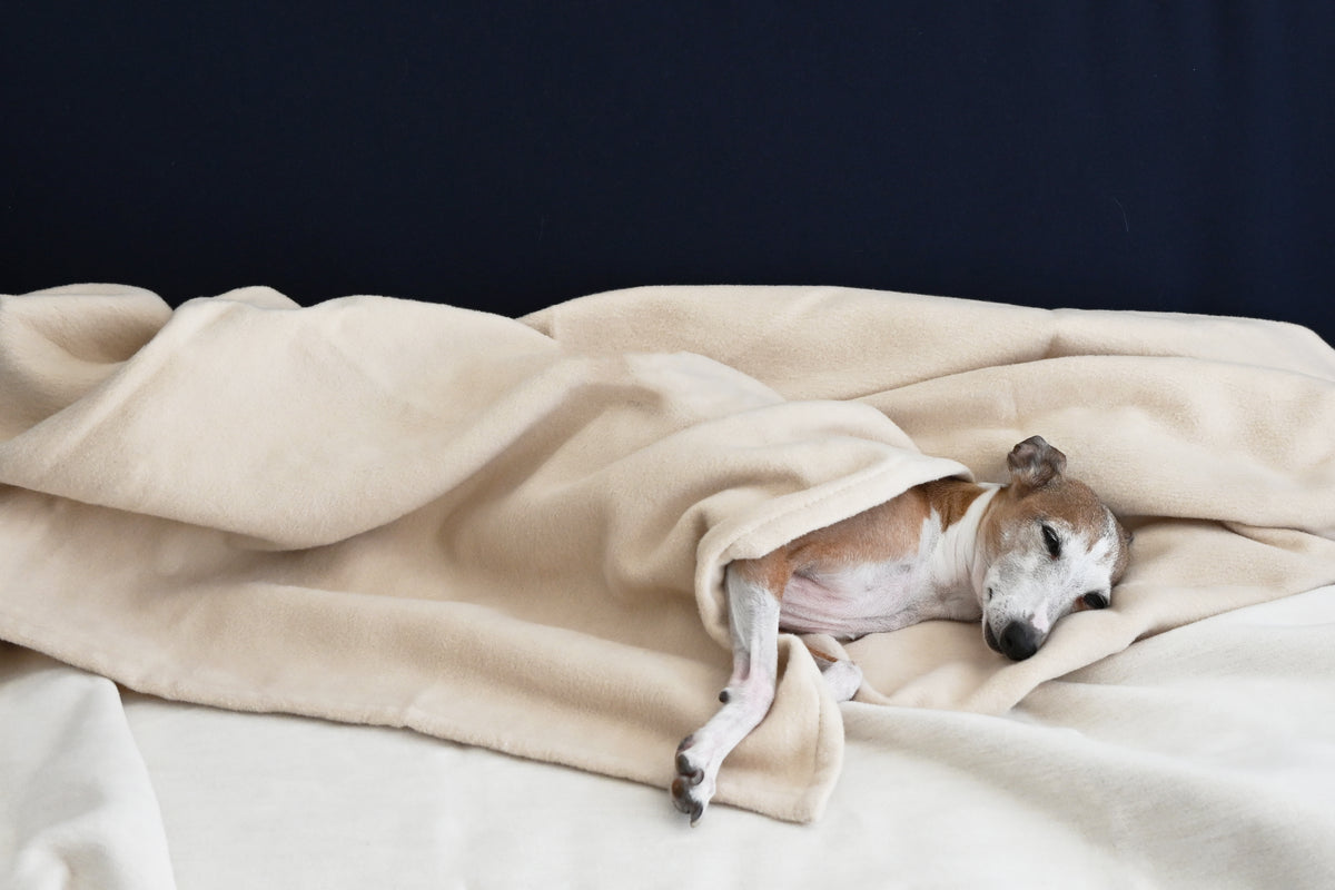 Organic Cotton Velour Blanket