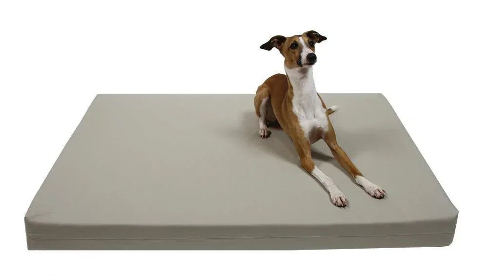 Organic Cotton Dog BED Cover, Stone All Natural Dog Beds