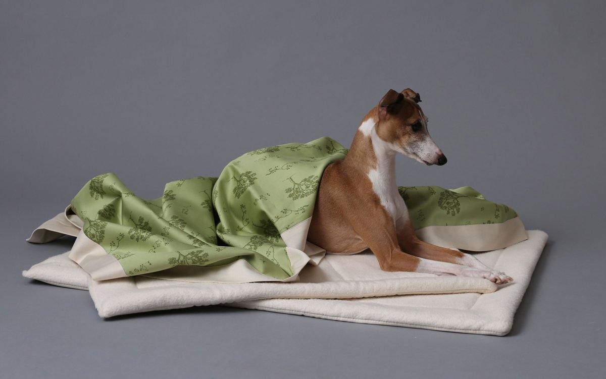 greyhound dog on natural fleece dog mat with green tree pattern blanket