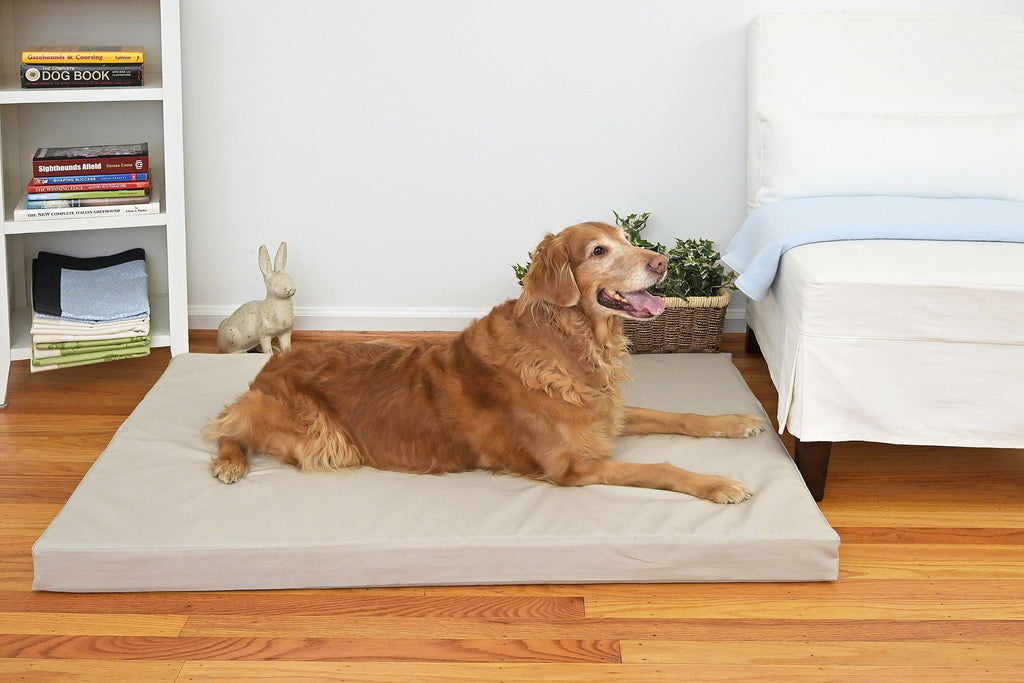 golden retriever on grey stone orthopedic dog bed