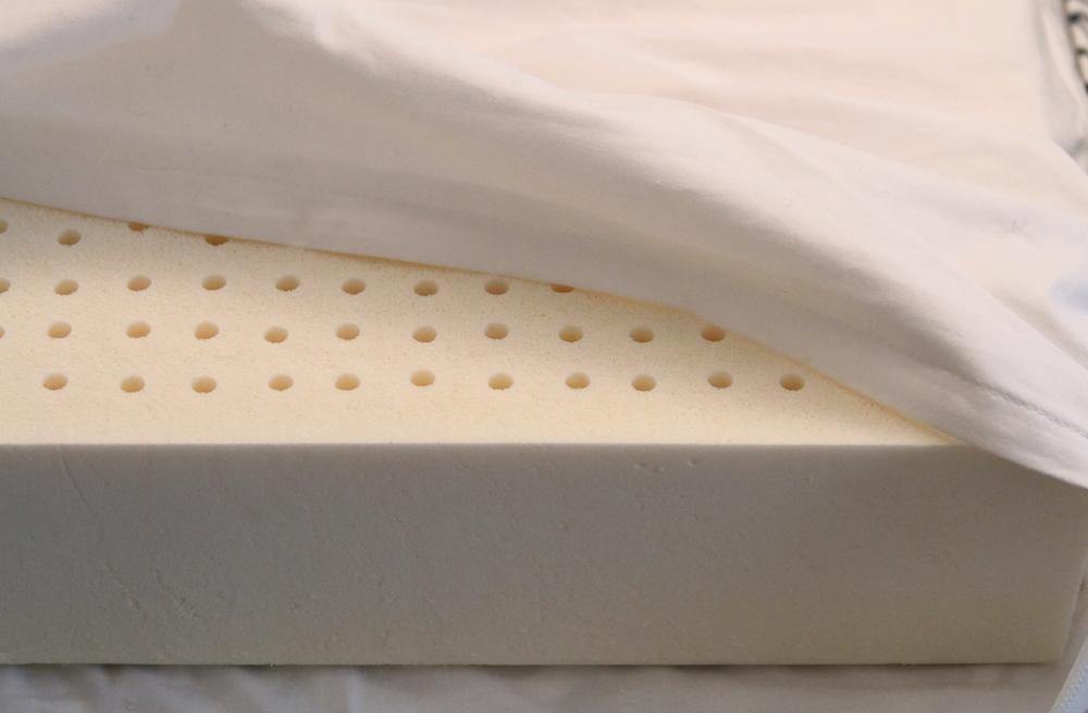 orthopedic latex dog bed close up