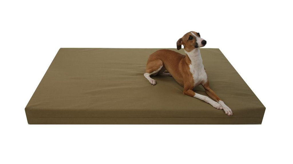 greyhound dog laying on organic cotton dog bed in olive color