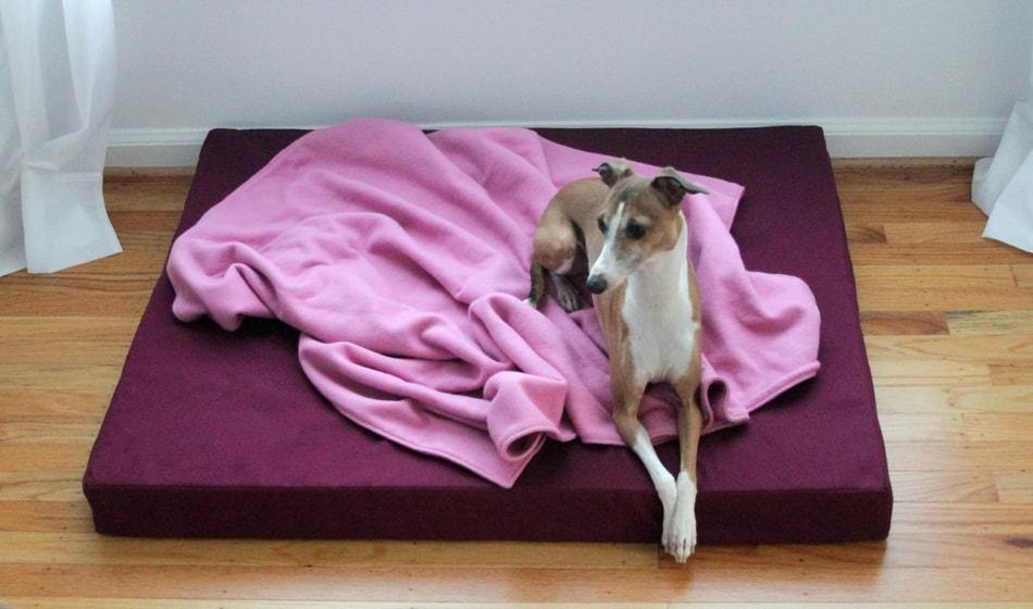 greyhound dog laying on red pink orthopedic dog bed with pink organic cotton blanket