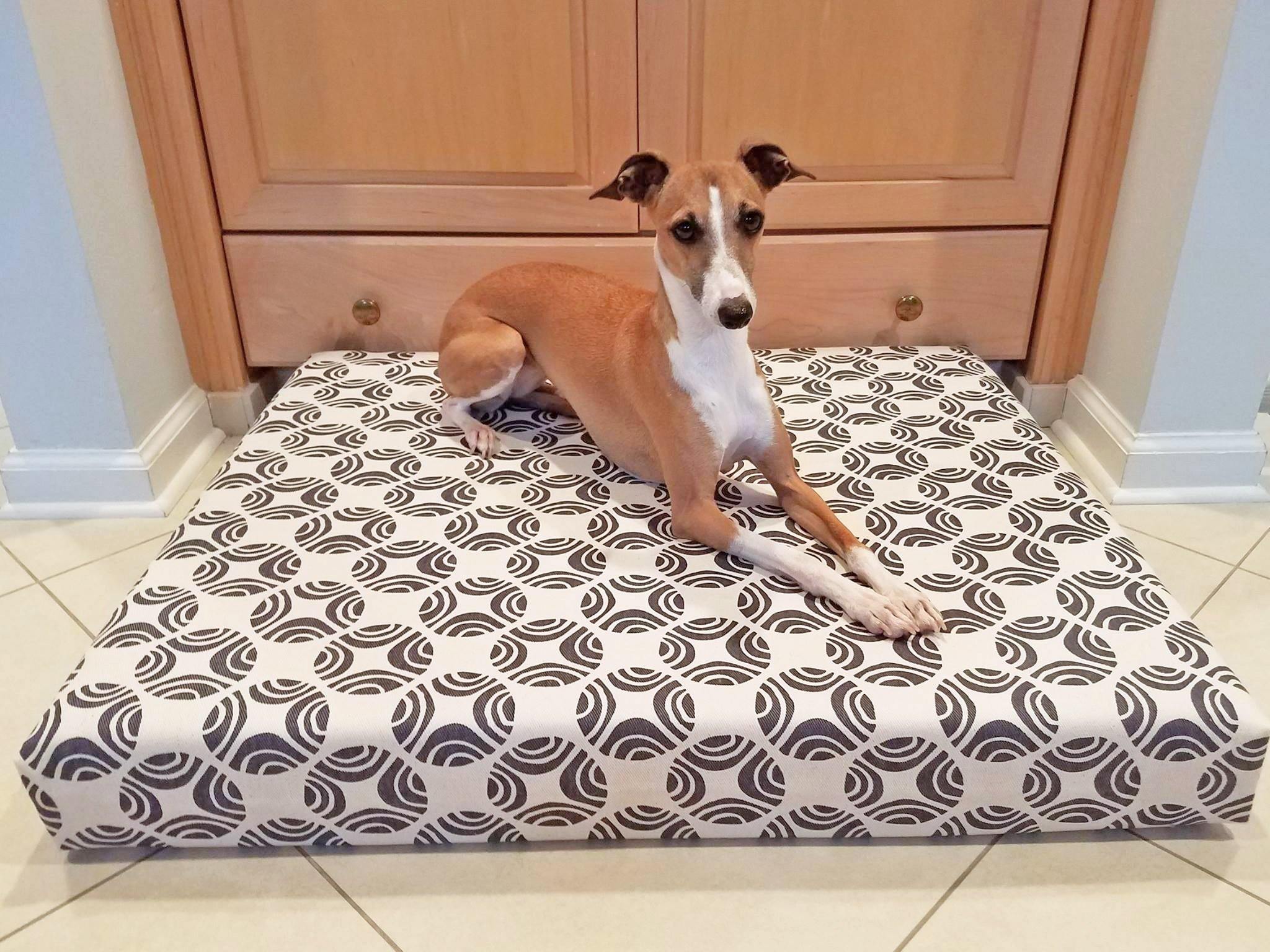 greyhound dog laying on organic orthopedic dog bed in white and brown picasso print