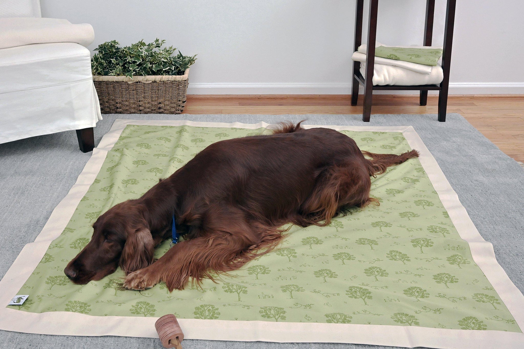 brown dog laying on green sage organic dog coverlet
