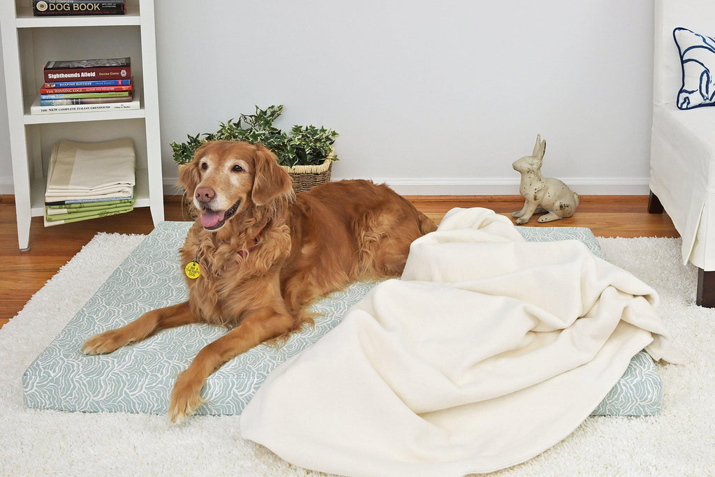 golden retriever laying on light blue green orthopedic dog bed