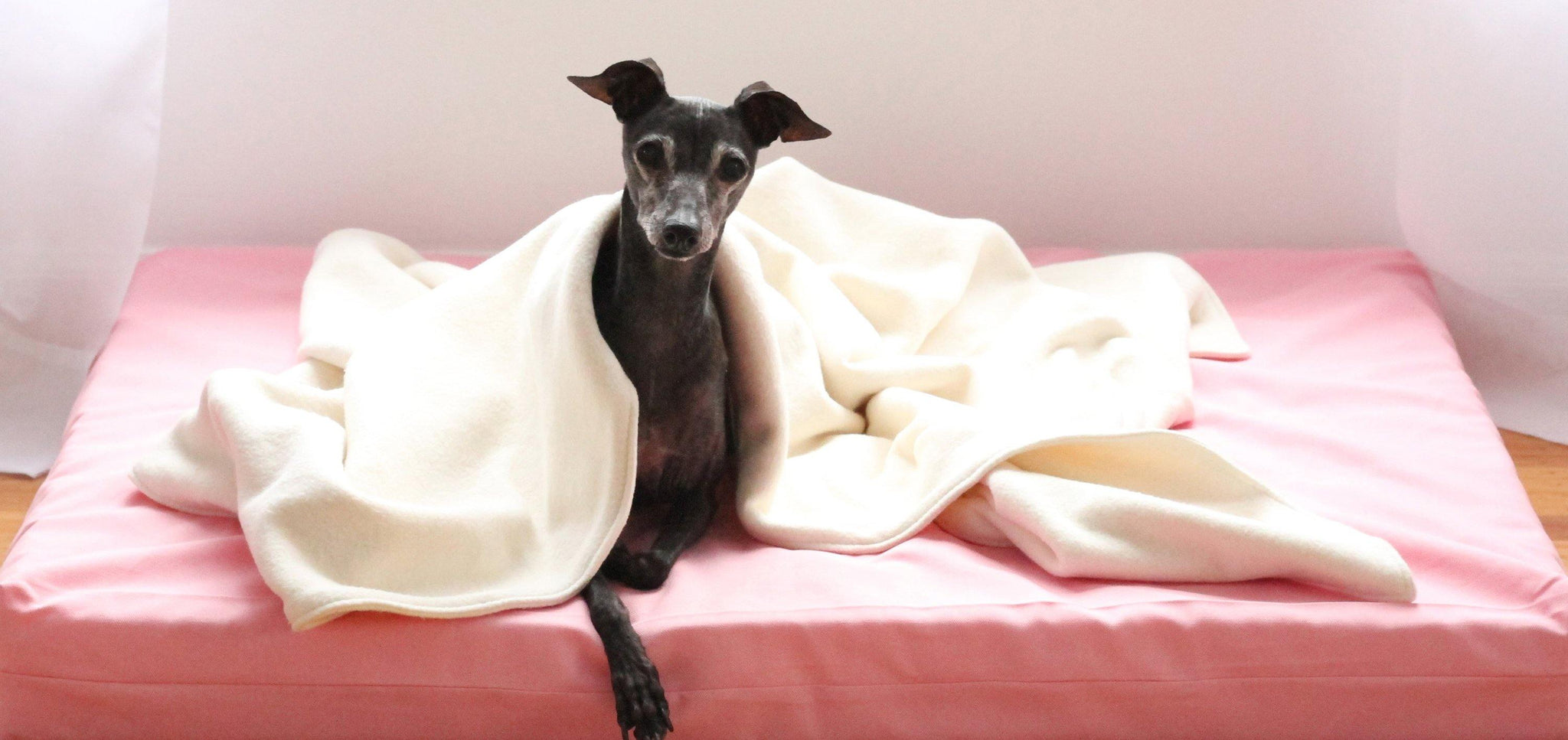 grey dog laying on orthopedic pink dog bed with natural fleece blanket