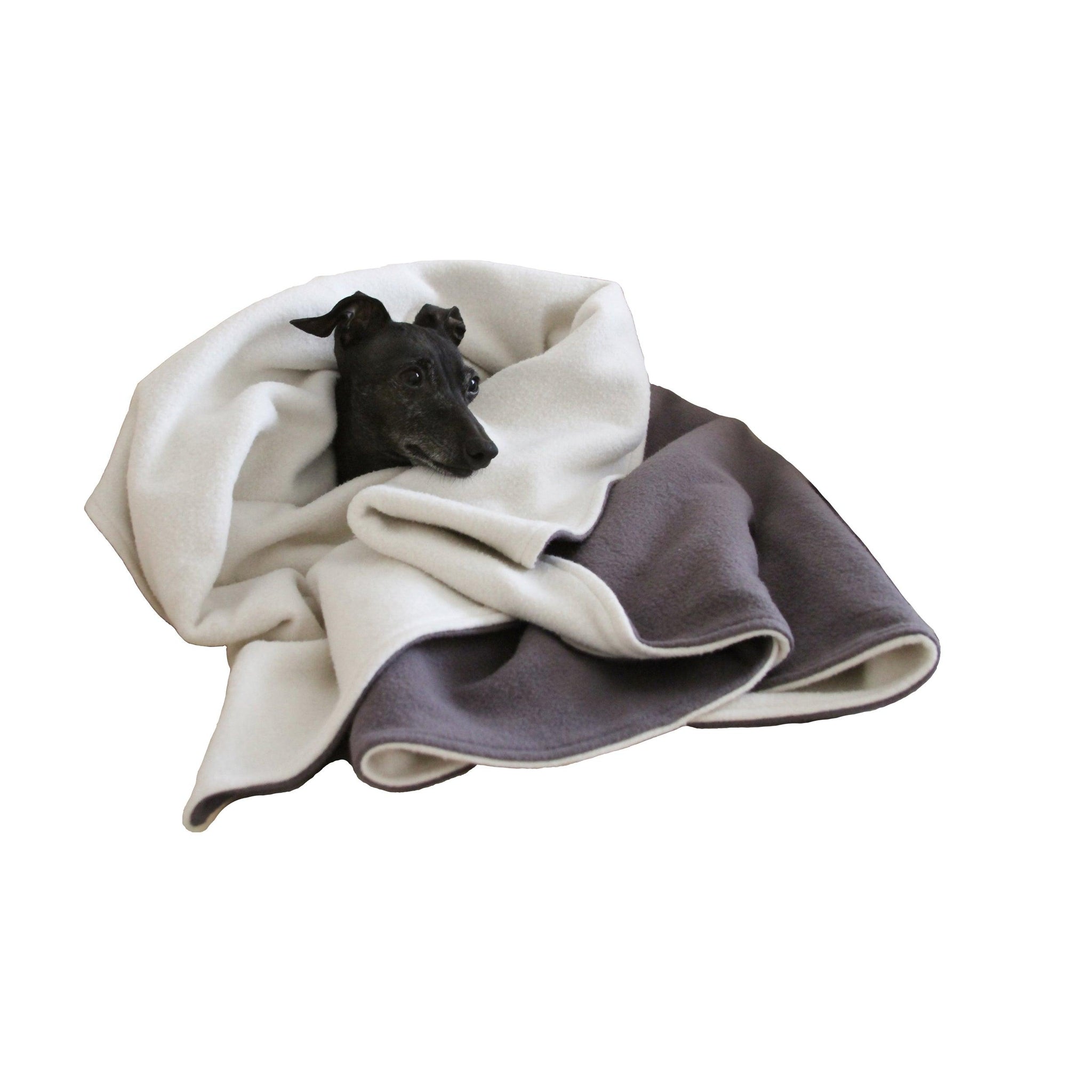 black dog wrapped in a cozy organic fleece blanket