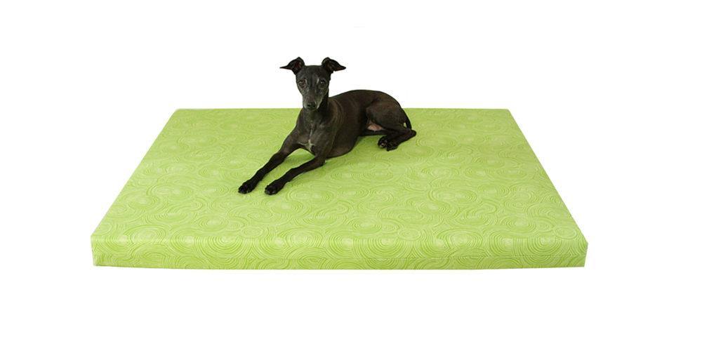 black greyhound dog laying on lime green patterned orthopedic dog bed