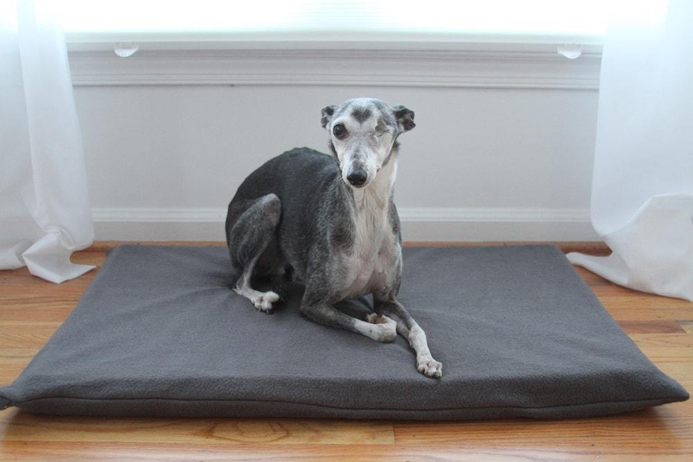 greyhound dog laying on organic orthopedic dark grey dog bed