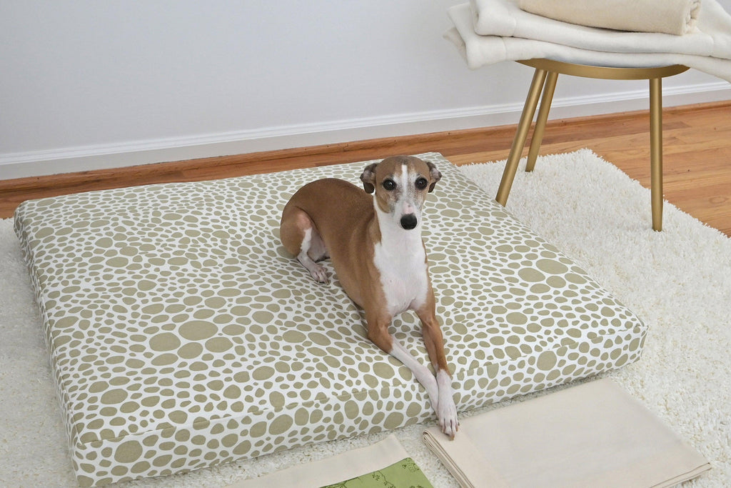 red and white dog lying on a tan and beige dog bed