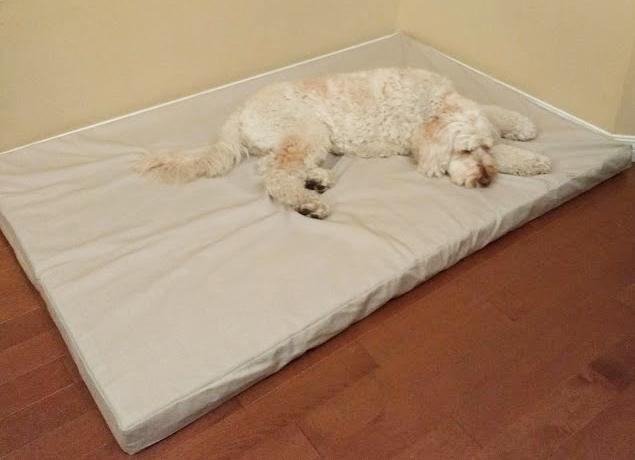 white dog laying on orthopedic dog bed in stone